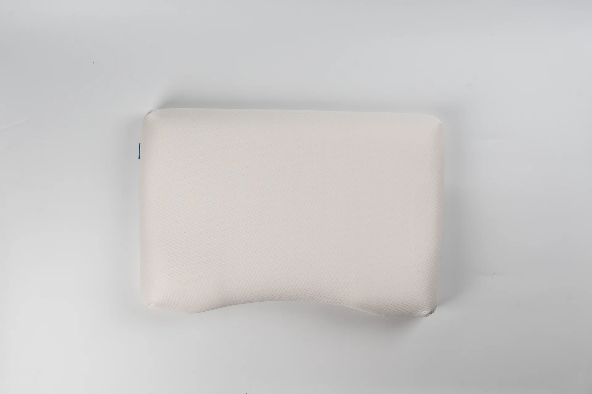 Sealy Memory Foam Pillow